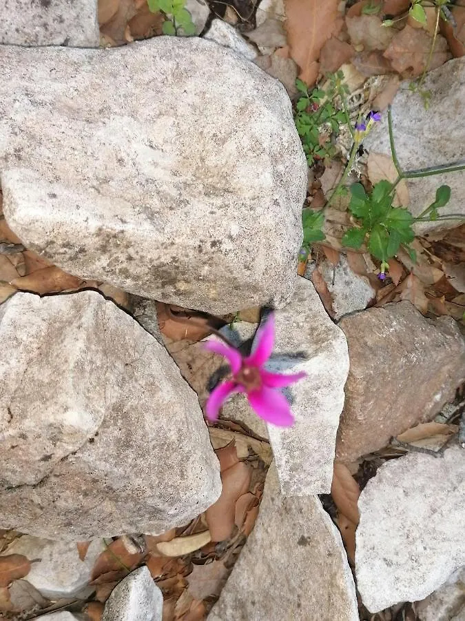 Casa Sacu, Tra Mare E Montagna Apartment Dorgali
