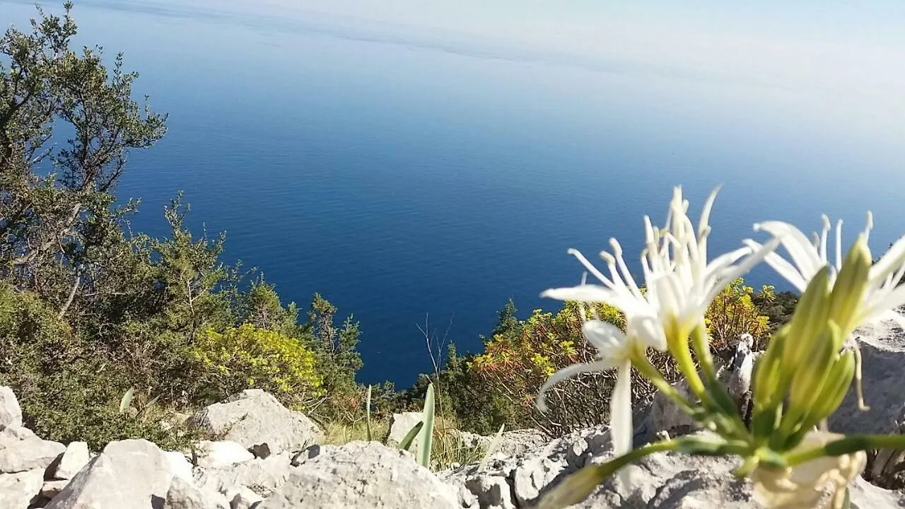 Casa Sacu, Tra Mare E Montagna Apartment Dorgali